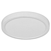 Trio Lighting Plafondlamp, rond Draco (18 W, Ø x h: 23 cm x 26 mm, Wit) | BAUHAUS