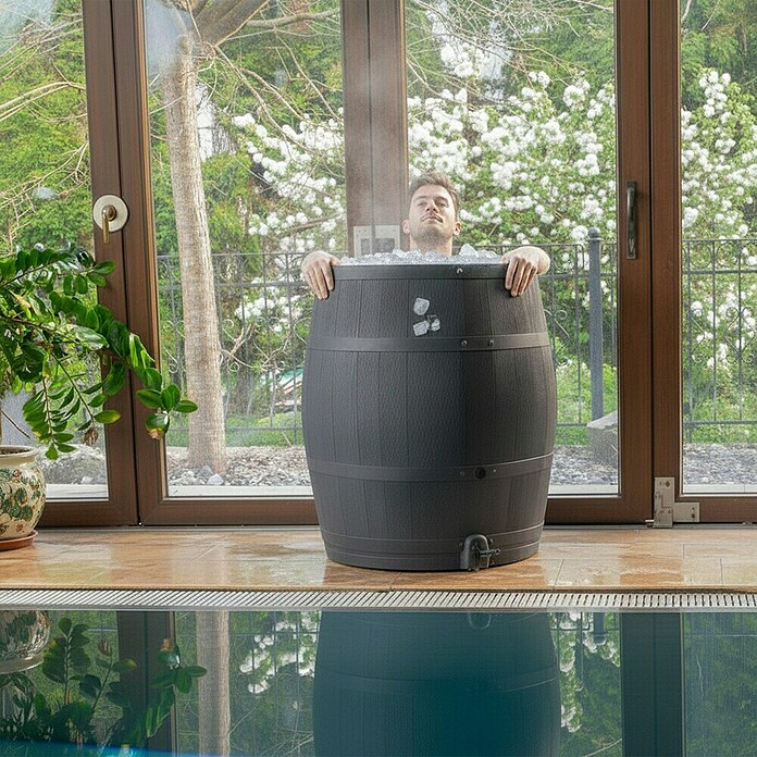 Roto Eistonne (Schwarz, Fassungsvermögen: 350 l) | BAUHAUS