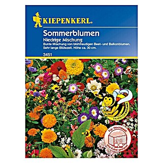 Kiepenkerl Blumensamen Sommerblumen (Verschiedene Sorten, Mehrfarbig, 1 m² - 2 m²)