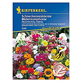 Kiepenkerl Profi-Line Blumensamen Schneckenresistente Blütensymphonie (Verschiedene Sorten, Mehrfarbig, 2 m²)