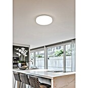 Trio Leuchten LED stropna svetilka Spica  (18 W, 2.000 lm, Bela, Barva svetlobe: Nevtralno bela) | 3098 - Badlicht | CAKA - Zweckleuchten | CAK - Technisches Licht | CA - Beleuchtung | C - Elektro | BAUHAUS