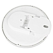Trio Leuchten LED stropna svetilka Spica  (18 W, 2.000 lm, Siva, Barva svetlobe: Nevtralno bela) | 3098 - Badlicht | CAKA - Zweckleuchten | CAK - Technisches Licht | CA - Beleuchtung | C - Elektro | BAUHAUS