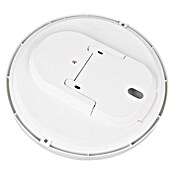 Trio Leuchten LED stropna svetilka Spica  (18 W, 2.000 lm, Siva, Barva svetlobe: Nevtralno bela) | 3098 - Badlicht | CAKA - Zweckleuchten | CAK - Technisches Licht | CA - Beleuchtung | C - Elektro | BAUHAUS