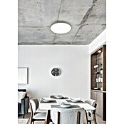 Trio Leuchten LED stropna svetilka Spica  (18 W, 2.000 lm, Siva, Barva svetlobe: Nevtralno bela) | 3098 - Badlicht | CAKA - Zweckleuchten | CAK - Technisches Licht | CA - Beleuchtung | C - Elektro | BAUHAUS