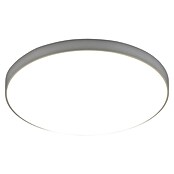 Trio Leuchten LED stropna svetilka Spica  (18 W, 2.000 lm, Siva, Barva svetlobe: Nevtralno bela) | 3098 - Badlicht | CAKA - Zweckleuchten | CAK - Technisches Licht | CA - Beleuchtung | C - Elektro | BAUHAUS