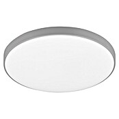 Trio Leuchten LED stropna svetilka Spica  (18 W, 2.000 lm, Siva, Barva svetlobe: Nevtralno bela) | 3098 - Badlicht | CAKA - Zweckleuchten | CAK - Technisches Licht | CA - Beleuchtung | C - Elektro | BAUHAUS