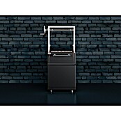 Kingstone Cube Holzkohlegrill () | BAUHAUS