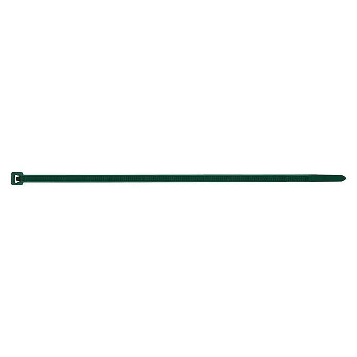 Index Bridas para cables de Nylon - An x L: 25 x 100 mm, Plástico, Verde - Una brida de cable verde sobre un fondo blanco. La brida es recta y tiene una hebilla cuadrada al final.