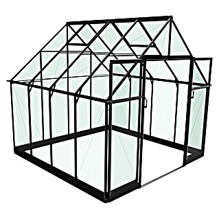 Halls Gewächshaus Qube 88 (Außenmaß inkl. Dachüberstand (B x T): 261 x 261 cm, 3 mm, Schwarz)