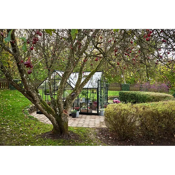 Halls Gewächshaus Garden Room - Außenmaß inkl. Dachüberstand (B x T): 389 x 390 cm, Farbe Gestell: Grün, Wandstärke: 3 mm - Ein Gewächshaus aus Glas mit schwarzem Rahmen steht auf sechseckigen Pflastersteinen in einem üppigen Garten, umgeben von Bäumen mit roten Beeren und grünen Büschen.