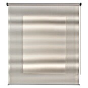 Estor enrollable Roll-up Scene (An x Al: 60 x 180 cm, Gris, Traslúcido)