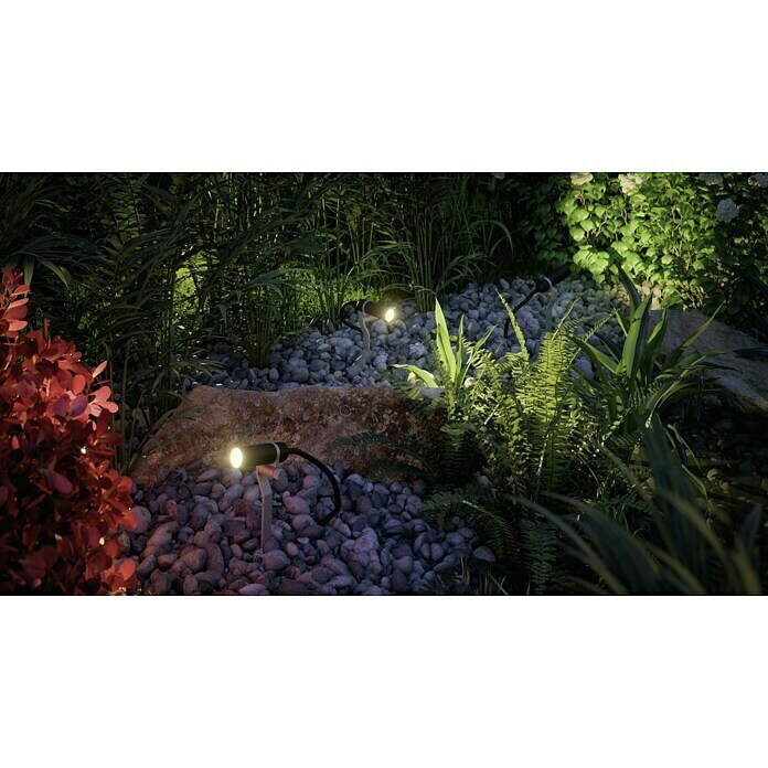 Paulmann Plug & Shine Set de luces de jardín LED Plantini (1 luz, 2,5 W, Enchufe IP44 con contacto de toma a tierra, IP44)