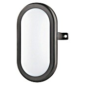 Luceco Aplique exterior LED Oval (1 luz, 5,5 W, Color de luz: Blanco neutro, IP54)