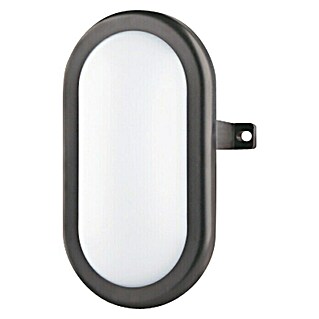 Luceco Aplique exterior LED Oval (5,5 W, 11,5 x 7,6 x 16,9 cm, Negro, IP54)