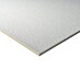 Knauf Deckenplatte AMF Thermatex 