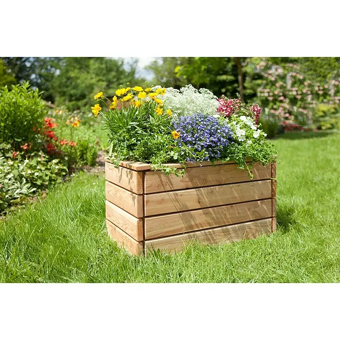 Kiehnholz Pflanzkasten - L x B x H: 80 x 40 x 43 cm, Holz - Nahaufnahme eines hölzernen Blumenkastens mit bunten Blumen auf einem grünen Rasen, ideal für Gartenliebhaber.