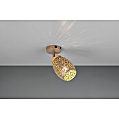 Reality Leuchten Bidar Wandlamp Bidar (Koffie, E14, Diameter: 12 cm) | BAUHAUS