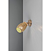 Reality Leuchten Bidar Wandlamp Bidar (Koffie, E14, Diameter: 12 cm) | BAUHAUS