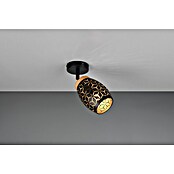 Reality Leuchten Bidar Aplique de pared (Negro, E14, Diámetro: 12 cm) | BAUHAUS