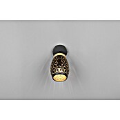 Reality Leuchten Bidar Aplique de pared (Negro, E14, Diámetro: 12 cm) | BAUHAUS