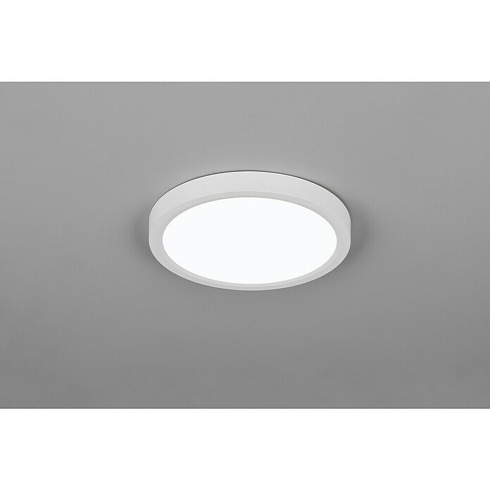 Trio Lighting Plafondlamp, rond Draco (18 W, Ø x h: 23 cm x 26 mm, Wit) | BAUHAUS