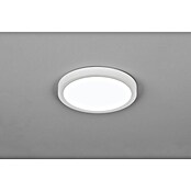 Trio Lighting Plafondlamp, rond Draco (18 W, Ø x h: 23 cm x 26 mm, Wit) | BAUHAUS