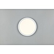 Trio Lighting Plafondlamp, rond Draco (18 W, Ø x h: 23 cm x 26 mm, Wit) | BAUHAUS