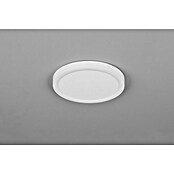 Trio Lighting Plafondlamp, rond Draco (18 W, Ø x h: 23 cm x 26 mm, Wit) | BAUHAUS