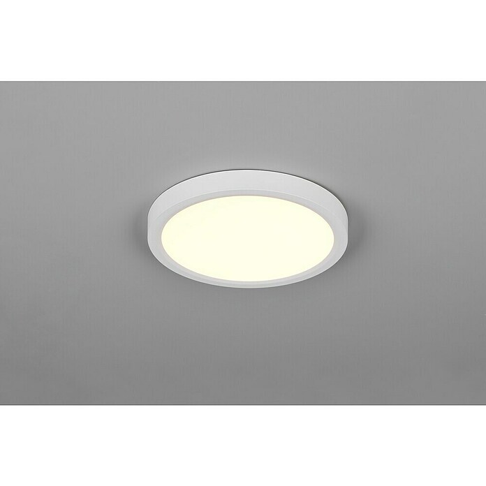 Trio Lighting Plafondlamp, rond Draco (18 W, Ø x h: 23 cm x 26 mm, Wit) | BAUHAUS