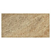 Feinsteinzeugfliese Regent Gold (30 x 60 cm, Beige, Unglasiert)