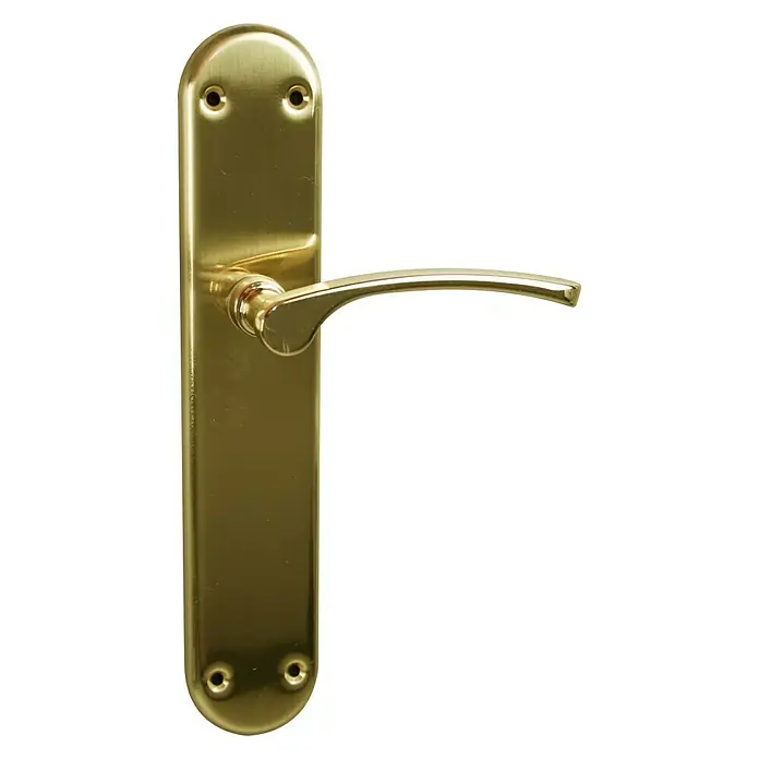 Conjunto de picaporte - Oro - Una manija dorada con una placa alargada, ideal para puertas interiores. El diseño brillante añade un toque elegante a cualquier puerta.