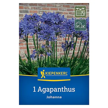 Kiepenkerl  Blumensamenmischung