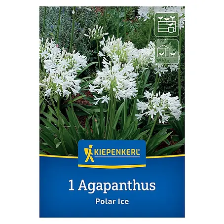 Kiepenkerl  Blumensamenmischung