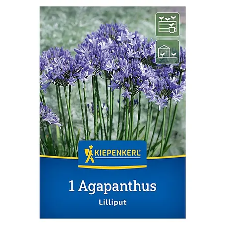 Kiepenkerl  Blumensamenmischung