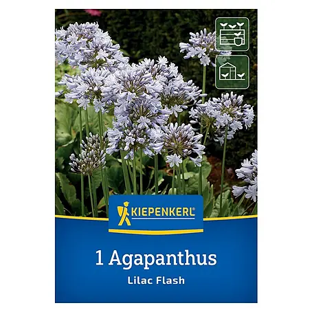 Kiepenkerl  Blumensamenmischung