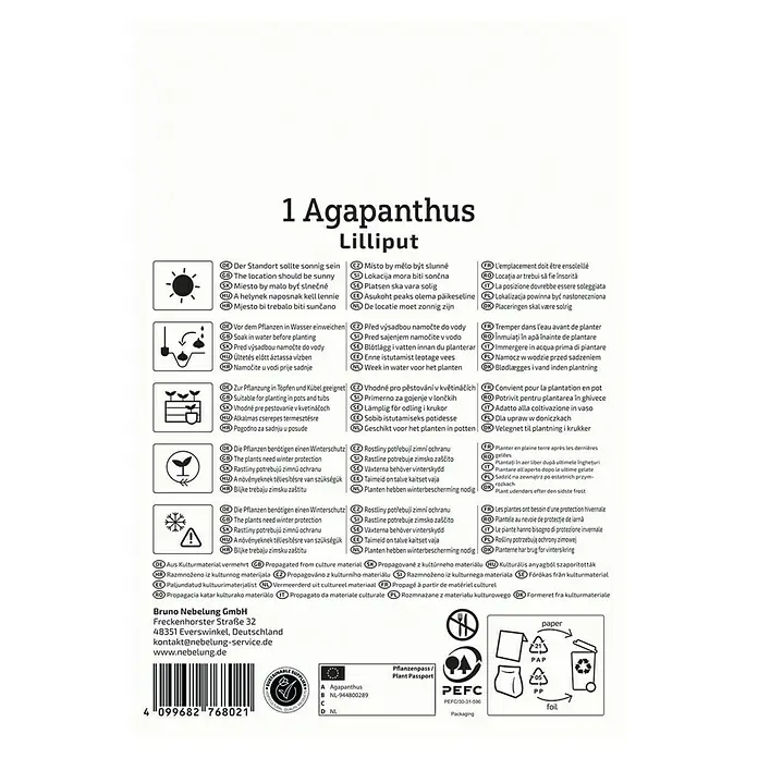 Kiepenkerl Blumensamenmischung - Agapanthus africanus Liliput, Blau - Informationen zum Agapanthus Lilliput, einschließlich Standort, Bewässerung, Pflanzung und Winterschutz.
