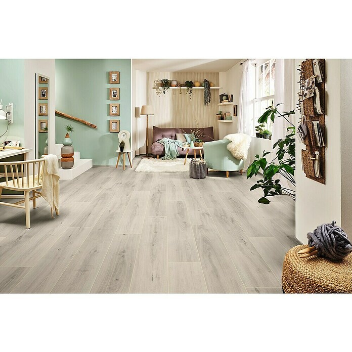LOGOCLIC Edition Laminat Family (Solario, Landhausdiele, 1 288 x 245 x 7 mm) | BAUHAUS
