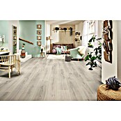 LOGOCLIC Edition Laminat Family (Solario, Landhausdiele, 1 288 x 245 x 7 mm) | BAUHAUS