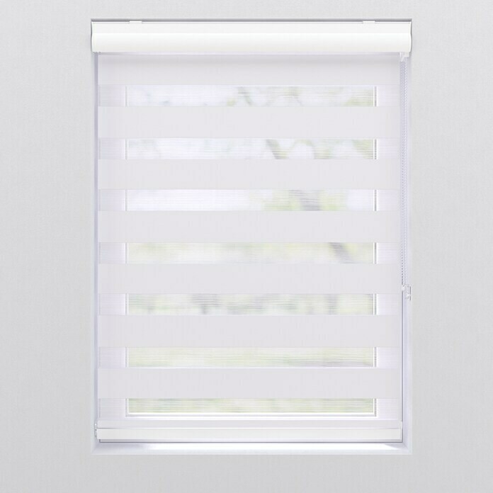 Expo Ambiente Dvojni rolo s kaseto  (Š x V: 80 x 175 cm, Bela, Prepustnost za dnevno svetlobo) | 6439 - Doppelrollo | HDDA - Fenster-Sonnenschutz | HDD - Sonnenschutz | HD - Ambiente | H - Innendeko/Farben | BAUHAUS