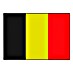 Vlag België 
