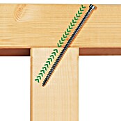 Spax Vijak za les IN.FORCE  (Ø x Do: 6 x 120 mm, Površina WIROX, T-Star plus, 10 kos) | 1046 - Mehrzweckschrauben verpackt | AADB - Schrauben verpackt | AAD - Kleineisenwaren | AA - Eisenwaren | A - Eisenwaren | BAUHAUS