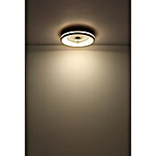 Globo Stropni ventilator Gatian  (30 W, Promjer: 500 mm, Smeđa) | BAUHAUS