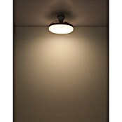 Globo Stropni ventilator Beliz  (40 W, Promjer: 1.060 mm, Bijela) | BAUHAUS