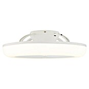Globo Stropni ventilator Ferrell  (Bijela, Promjer: 450 mm, 15 W) | BAUHAUS
