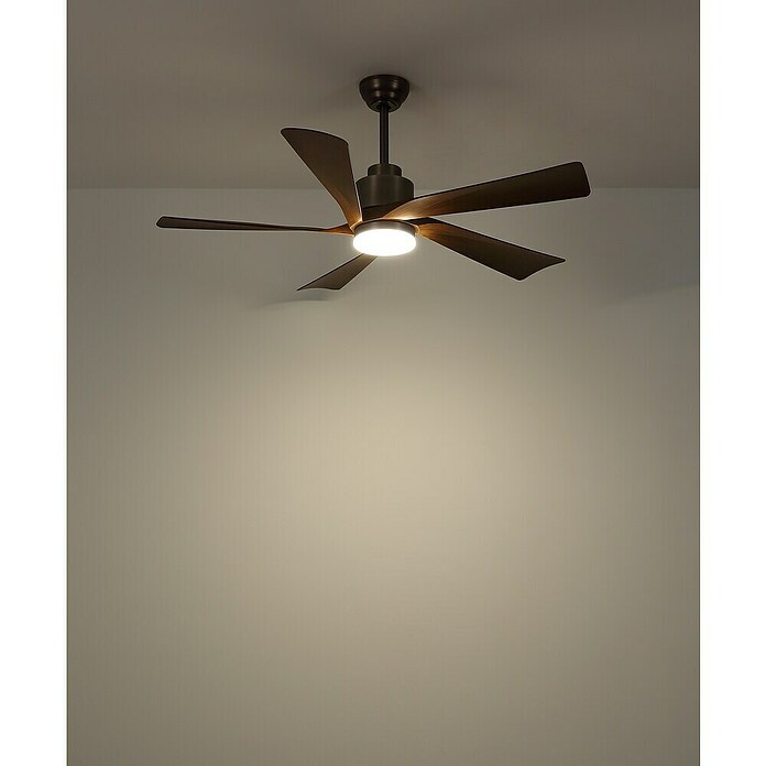 Globo Ventilador de techo Modesto (Gris oscuro, 132 cm, 20 W) | BAUHAUS