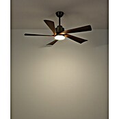 Globo Ventilador de techo Modesto (Gris oscuro, 132 cm, 20 W) | BAUHAUS