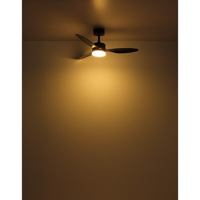 Globo Stropni ventilator Blackwell  (Crna, Promjer: 1.060 mm, 20 W) | BAUHAUS
