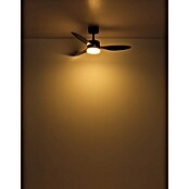 Globo Stropni ventilator Blackwell  (Crna, Promjer: 1.060 mm, 20 W) | BAUHAUS