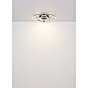 Globo Stropni ventilator Alia  (Crna, Promjer: 580 mm, 40 W) | BAUHAUS