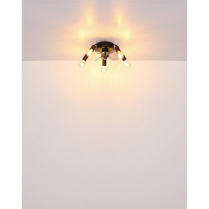 Globo Stropni ventilator Alisha  (Crna, Promjer: 420 mm, 40 W) | BAUHAUS